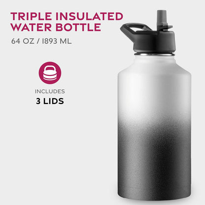 FineDine Water Bottle - Stainless Steel Insulated Water Bottle with Straw Lid, Flip Lid & Wide-Mouth Cap - Keeps Hot and Cold - 25 Oz / 739ml - Dreamy Purple