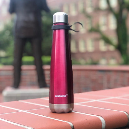 Insulated Water Bottle - On-The-Go Refillable Stainless Steel Water Bottles For Adults, Reusable Thermos Travel Tumbler With Leak-proof Lid For Hot & Cold Beverages (17Oz. Copper Peach)