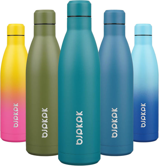 25 oz Insulated Stainless Steel Water Bottle, Metal Sports Flask