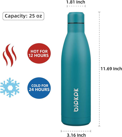 25 oz Insulated Stainless Steel Water Bottle, Metal Sports Flask