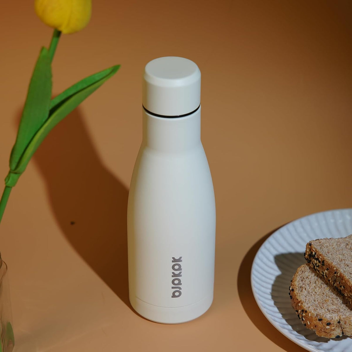 25 oz Insulated Stainless Steel Water Bottle, Metal Sports Flask