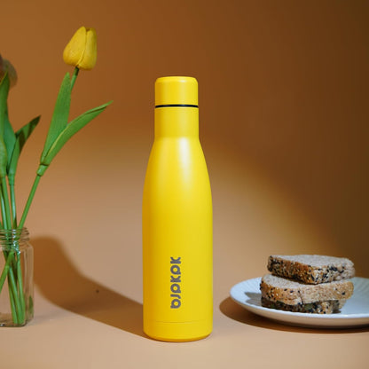 25 oz Insulated Stainless Steel Water Bottle, Metal Sports Flask