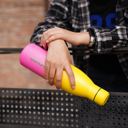 25 oz Insulated Stainless Steel Water Bottle, Metal Sports Flask