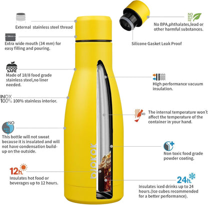 25 oz Insulated Stainless Steel Water Bottle, Metal Sports Flask