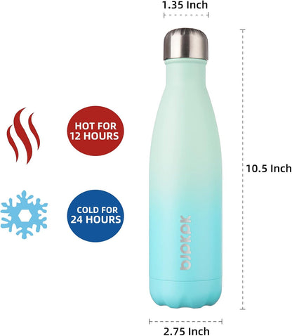 25 oz Insulated Stainless Steel Water Bottle, Metal Sports Flask