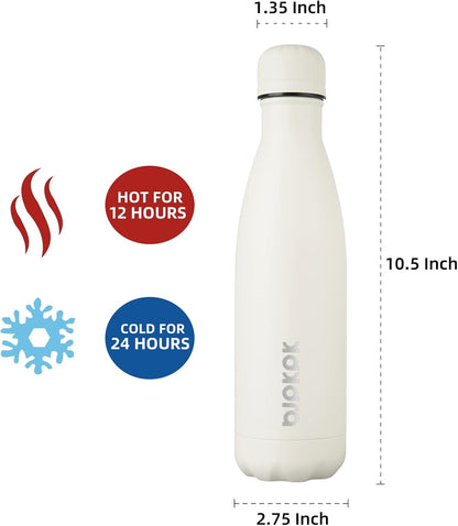 25 oz Insulated Stainless Steel Water Bottle, Metal Sports Flask