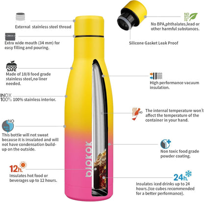 25 oz Insulated Stainless Steel Water Bottle, Metal Sports Flask
