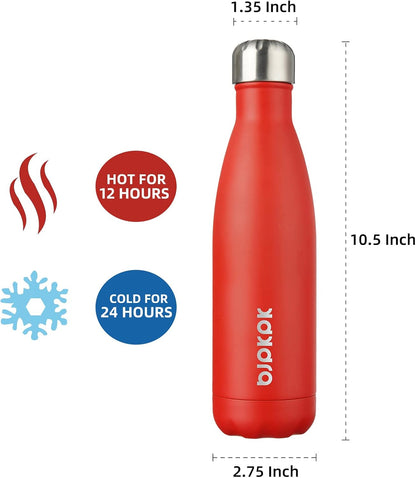 25 oz Insulated Stainless Steel Water Bottle, Metal Sports Flask