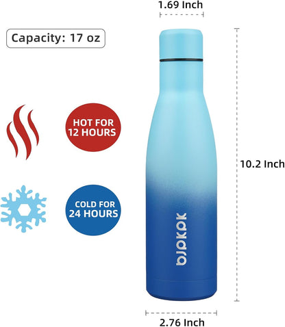 25 oz Insulated Stainless Steel Water Bottle, Metal Sports Flask