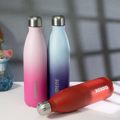 25 oz Insulated Stainless Steel Water Bottle, Metal Sports Flask