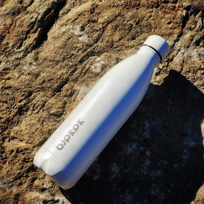 25 oz Insulated Stainless Steel Water Bottle, Metal Sports Flask