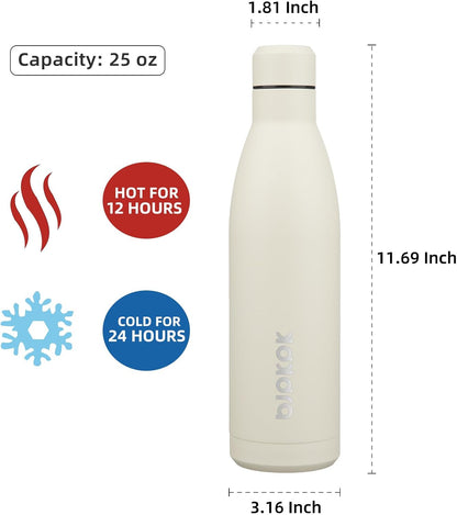 25 oz Insulated Stainless Steel Water Bottle, Metal Sports Flask