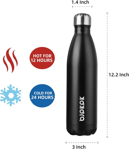 25 oz Insulated Stainless Steel Water Bottle, Metal Sports Flask