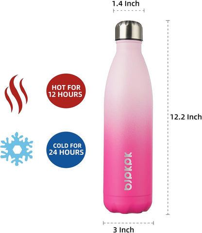 25 oz Insulated Stainless Steel Water Bottle, Metal Sports Flask