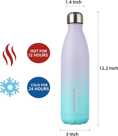 25 oz Insulated Stainless Steel Water Bottle, Metal Sports Flask