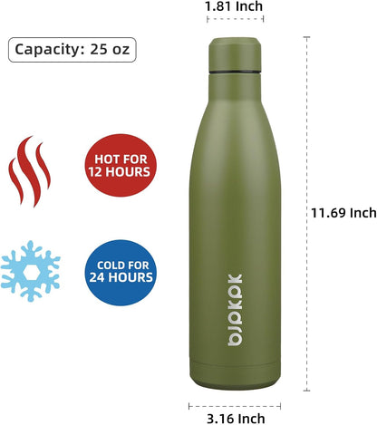 25 oz Insulated Stainless Steel Water Bottle, Metal Sports Flask