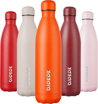 25 oz Insulated Stainless Steel Water Bottle, Metal Sports Flask