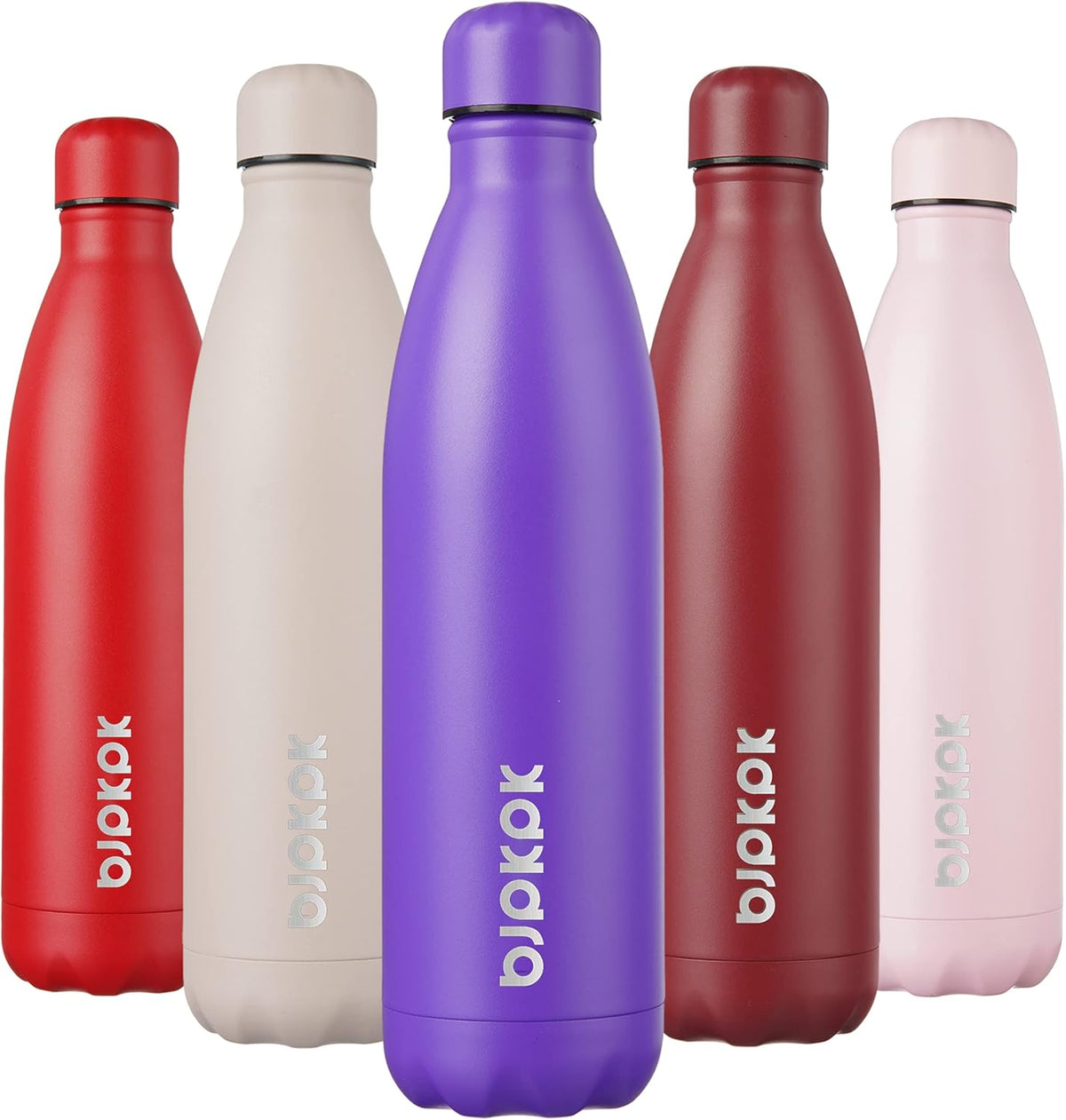 25 oz Insulated Stainless Steel Water Bottle, Metal Sports Flask