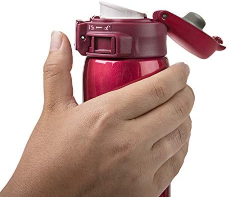 SM-SE48NZ Stainless Steel Vacuum Insulated Mug, 16-Ounce, Beige Gold