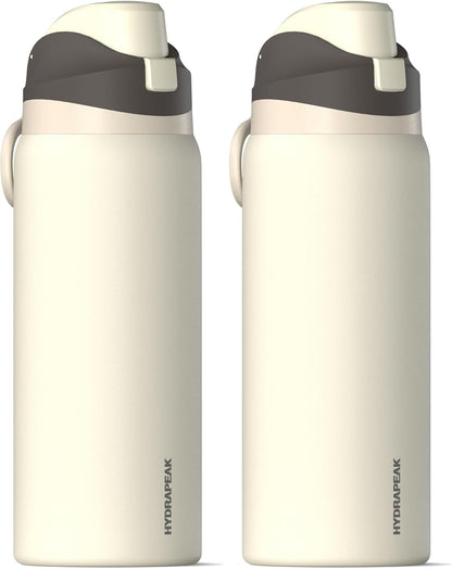 Oasis 32oz Insulated Water Bottle with Locking Chug Lid & Handle, Leakproof Stainless Steel Travel Tumbler for School, Gym & Everyday Hydration (Stone 1)