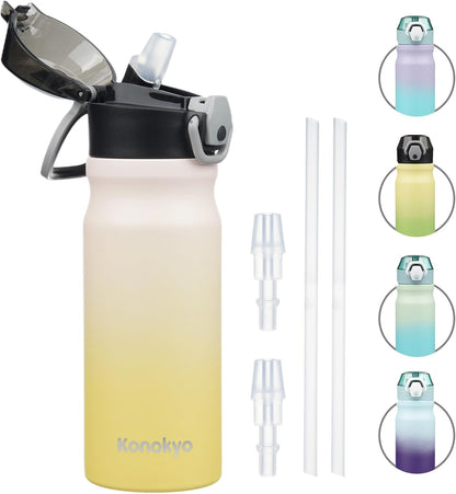18 oz Insulated Stainless Steel Sports Water Bottle with Straw Lid