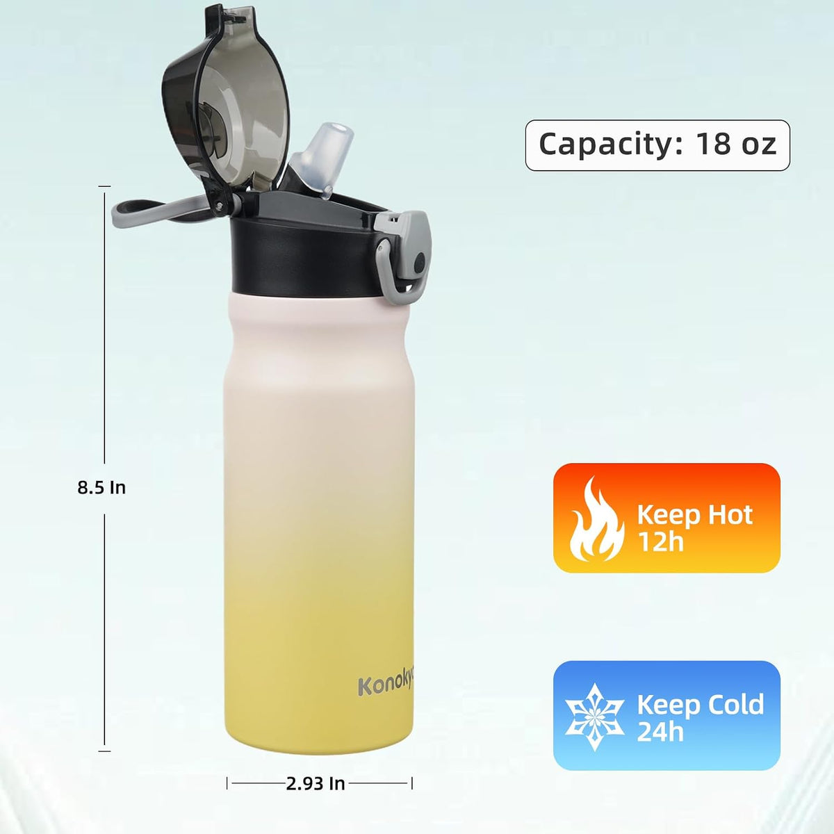 18 oz Insulated Stainless Steel Sports Water Bottle with Straw Lid