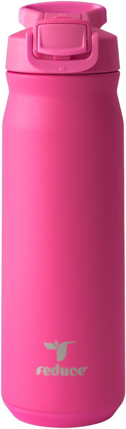 24 oz Hydrate Pro Stainless Steel Insulated Water Bottle - Flip Top Leak-Proof Lid, Dishwasher Safe, BPA-Free, Dual Wall Vacuum, Keeps Drinks Cold for 48 Hrs, Cup Holder Friendly - Dragonfruit