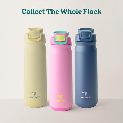 24 oz Hydrate Pro Stainless Steel Insulated Water Bottle - Flip Top Leak-Proof Lid, Dishwasher Safe, BPA-Free, Dual Wall Vacuum, Keeps Drinks Cold for 48 Hrs, Cup Holder Friendly - Dragonfruit