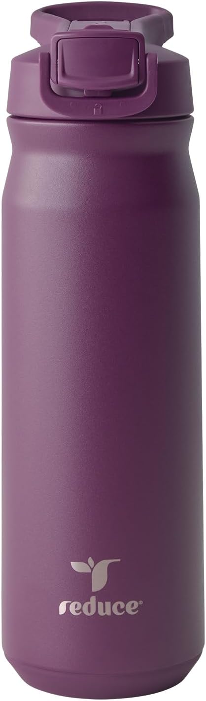 24 oz Hydrate Pro Stainless Steel Insulated Water Bottle - Flip Top Leak-Proof Lid, Dishwasher Safe, BPA-Free, Dual Wall Vacuum, Keeps Drinks Cold for 48 Hrs, Cup Holder Friendly - Dragonfruit