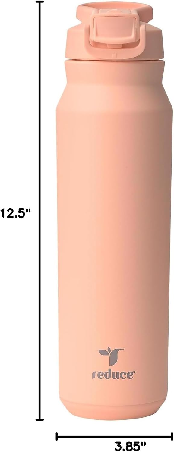 24 oz Hydrate Pro Stainless Steel Insulated Water Bottle - Flip Top Leak-Proof Lid, Dishwasher Safe, BPA-Free, Dual Wall Vacuum, Keeps Drinks Cold for 48 Hrs, Cup Holder Friendly - Dragonfruit