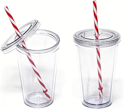2 Pack 16oz Double Wall Insulated Acrylic Tumbler Cups, with Lid & Straw
