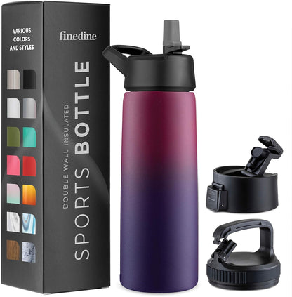 Insulated Water Bottle with Straw, 25 Oz, Dreamy Purple