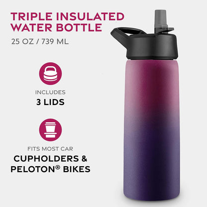 Insulated Water Bottle with Straw, 25 Oz, Dreamy Purple