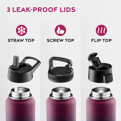 Insulated Water Bottle with Straw, 25 Oz, Dreamy Purple