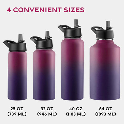 Insulated Water Bottle with Straw, 25 Oz, Dreamy Purple