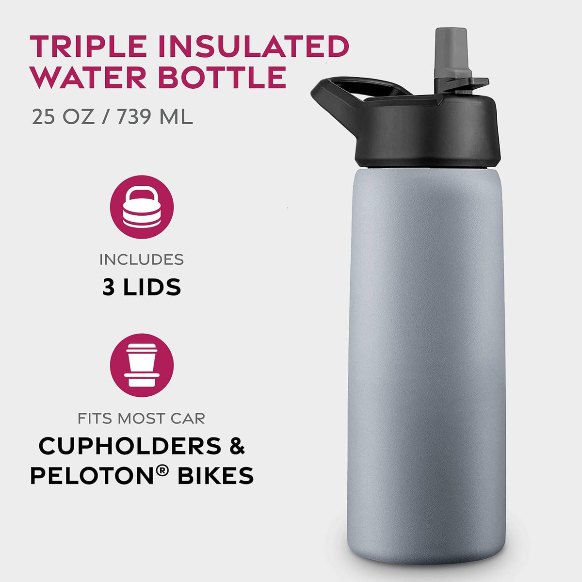 Insulated Water Bottle with Straw, 25 Oz, Dreamy Purple
