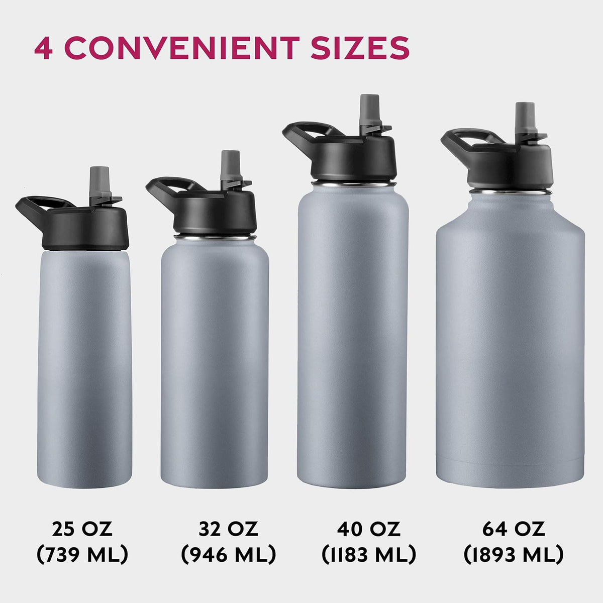 Insulated Water Bottle with Straw, 25 Oz, Dreamy Purple