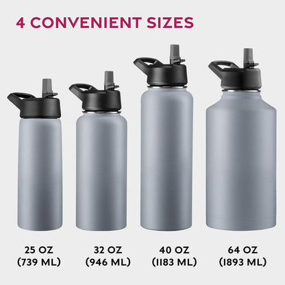 Insulated Water Bottle with Straw, 25 Oz, Dreamy Purple
