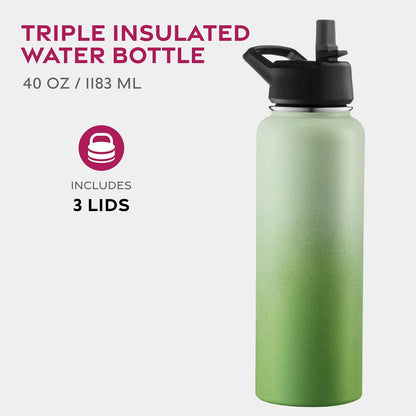 Insulated Water Bottle with Straw, 25 Oz, Dreamy Purple