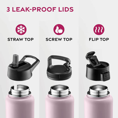 Insulated Water Bottle with Straw, 25 Oz, Dreamy Purple