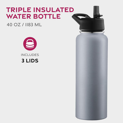 Insulated Water Bottle with Straw, 25 Oz, Dreamy Purple
