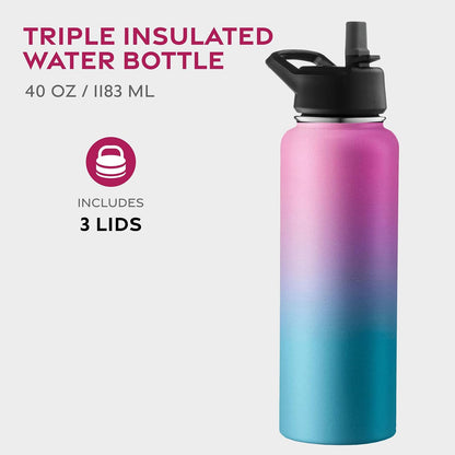 Insulated Water Bottle with Straw, 25 Oz, Dreamy Purple
