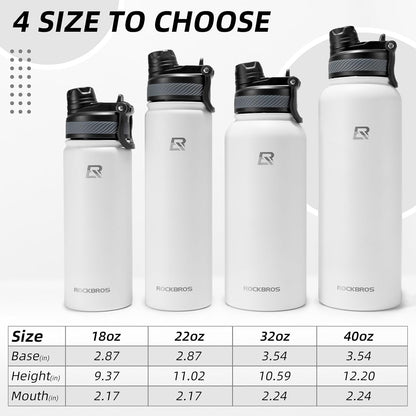 Insulated Water Bottle with Straw, Stainless Steel Sports Bottle