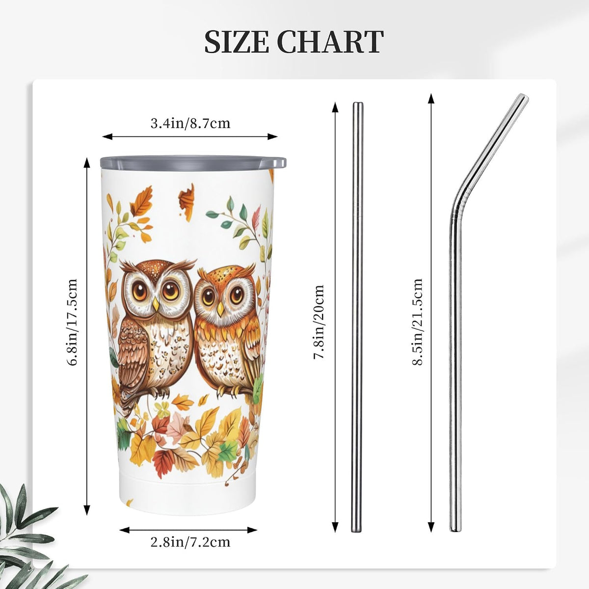 Phoenix Tumbler with Lid and Straw 20oz Travel Coffee Mug Gifts Stainless Steel Vacuum Insulated Cup Double Wall Water Bottle for Office Car Home