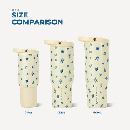 Sport 20 oz Insulated Stainless Steel Water Bottle, Sweet Pea