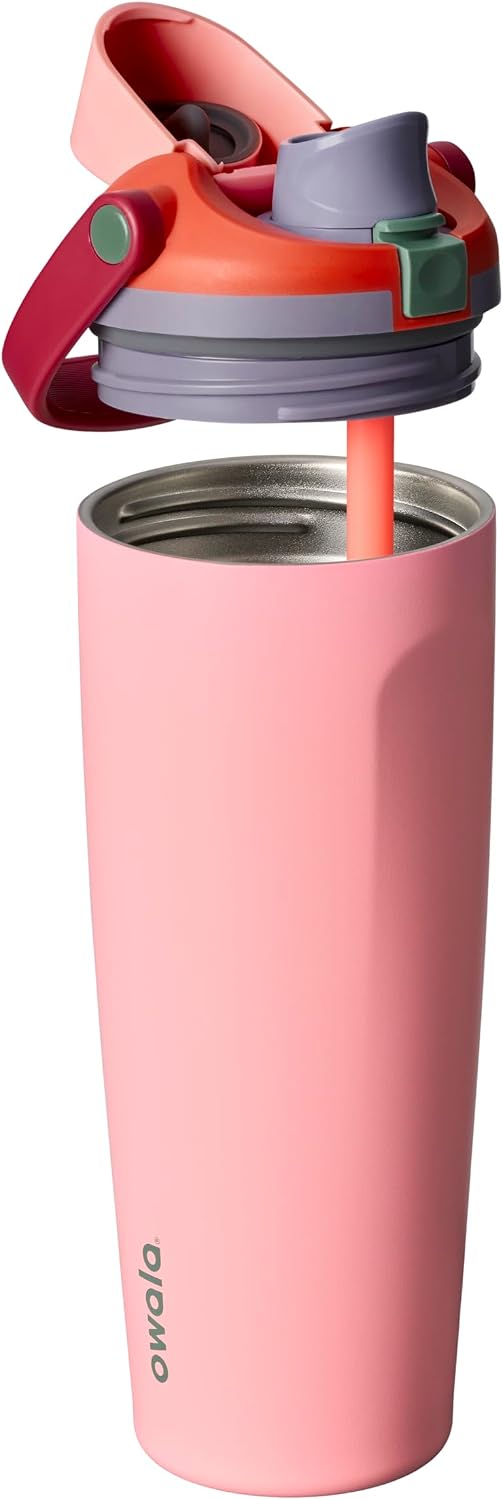 FreeSip Sway Insulated Stainless Steel Water Bottle with Two-Way Spout, Built-In Straw and Bucket Handle, Made for Travel, School, and Sports, 30oz, BPA Free, Leak Proof, Daybreak