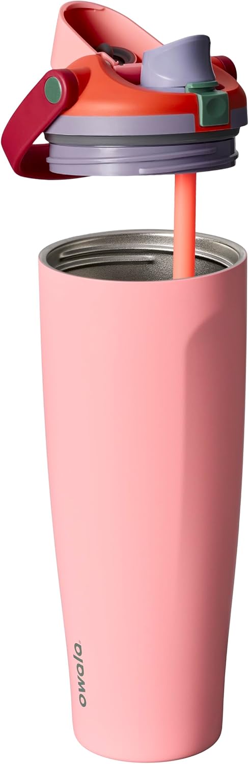 FreeSip Sway Insulated Stainless Steel Water Bottle with Two-Way Spout, Built-In Straw and Bucket Handle, Made for Travel, School, and Sports, 30oz, BPA Free, Leak Proof, Daybreak