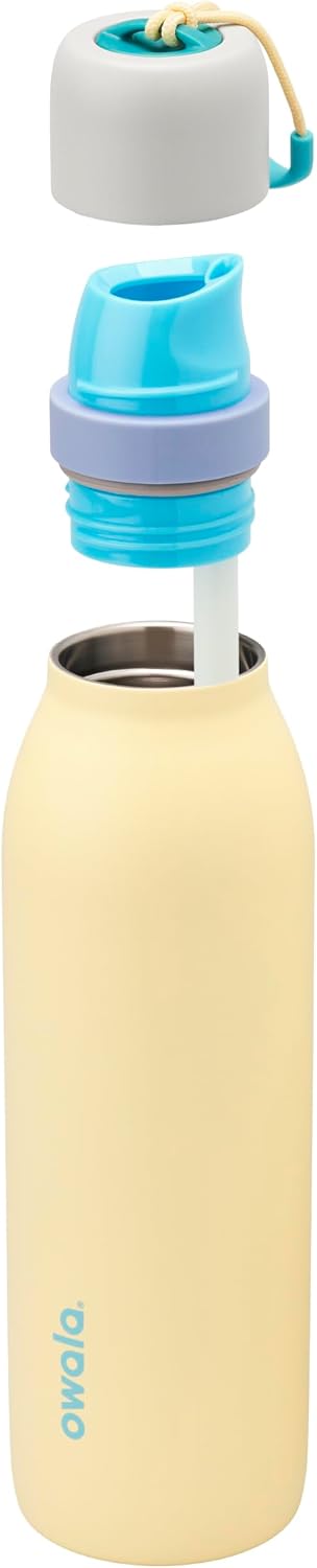 FreeSip Sway Insulated Stainless Steel Water Bottle with Two-Way Spout, Built-In Straw and Bucket Handle, Made for Travel, School, and Sports, 30oz, BPA Free, Leak Proof, Daybreak