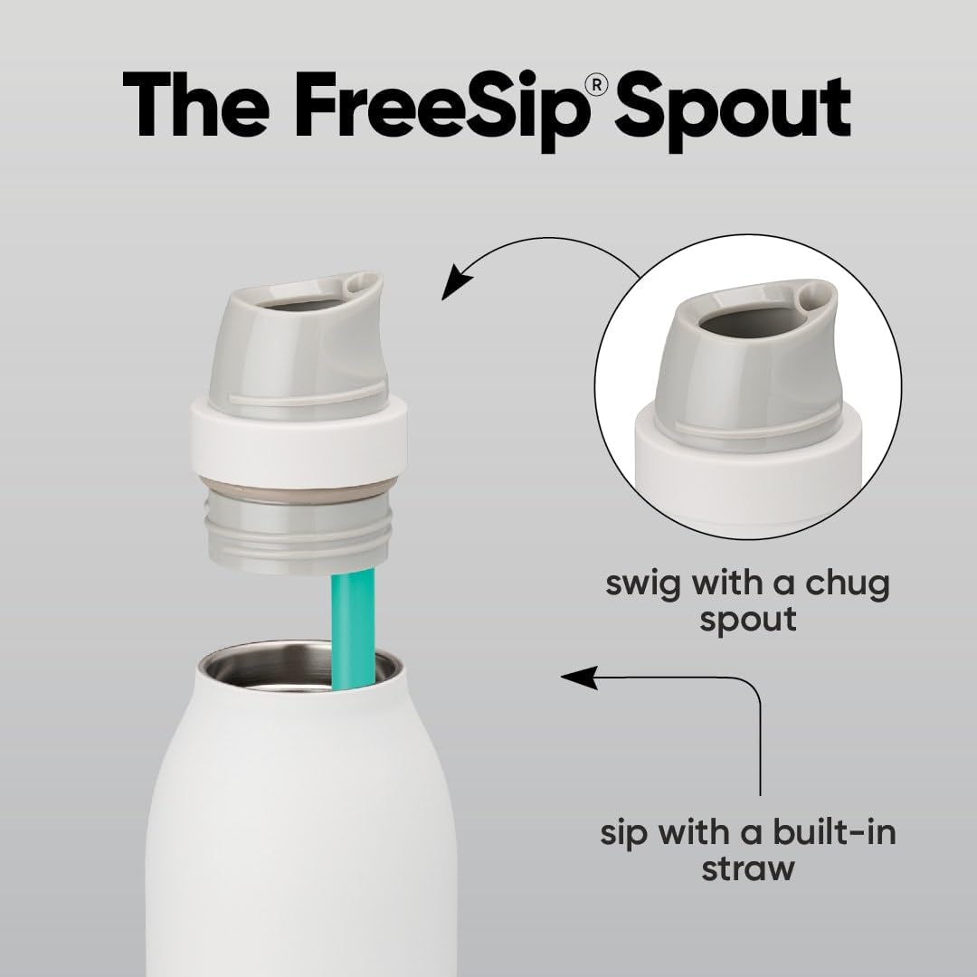 FreeSip Sway Insulated Stainless Steel Water Bottle with Two-Way Spout, Built-In Straw and Bucket Handle, Made for Travel, School, and Sports, 30oz, BPA Free, Leak Proof, Daybreak