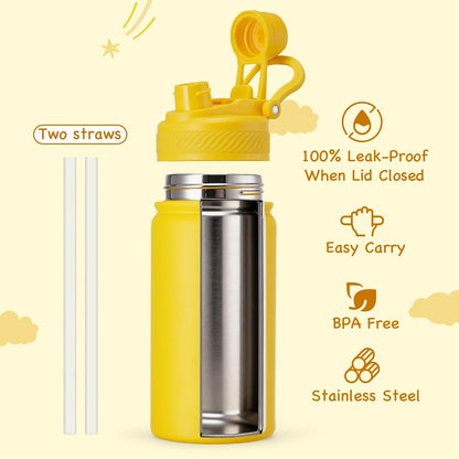 18 oz Insulated Water Bottle, 2-in-1 Straw and Spout Lid Stainless Steel Thermos, Leak-Proof, Double Wall Vacuum Flask, Keep Cold 24H for Outdoor, Sports, Travel, School (Black)